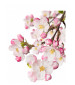 Japanese Garden CVS Essence of Beauty Resmi
