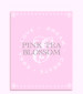 Pink Tea Blossom Resmi